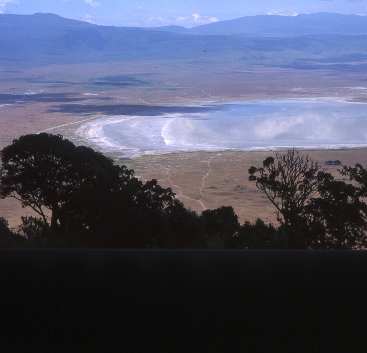 TANZANIA: Con la naturaleza del Ngorongoro