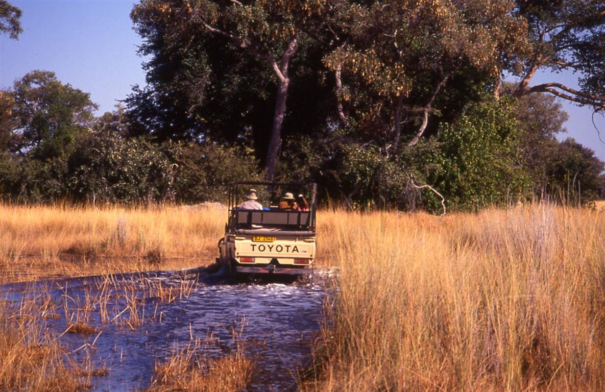 BOTWANA: Aventura en el Delta del Okavango
