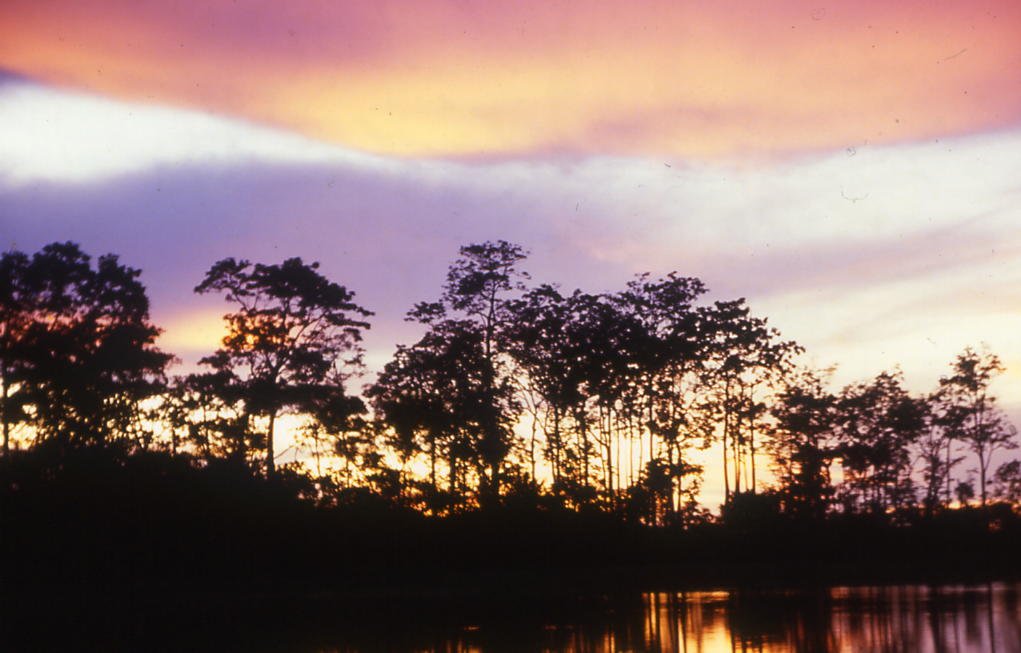 COLOMBIA: «Leticia, es una de las principales puertas del Amazonas”